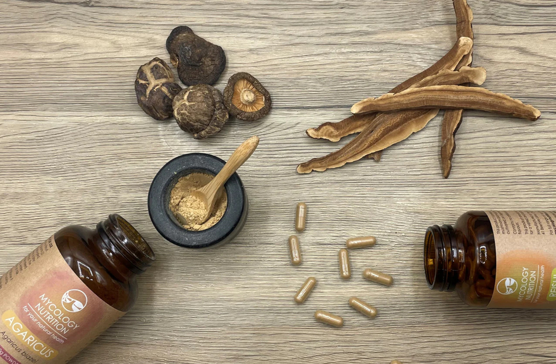 What You Should Know About Nutritional Mycology