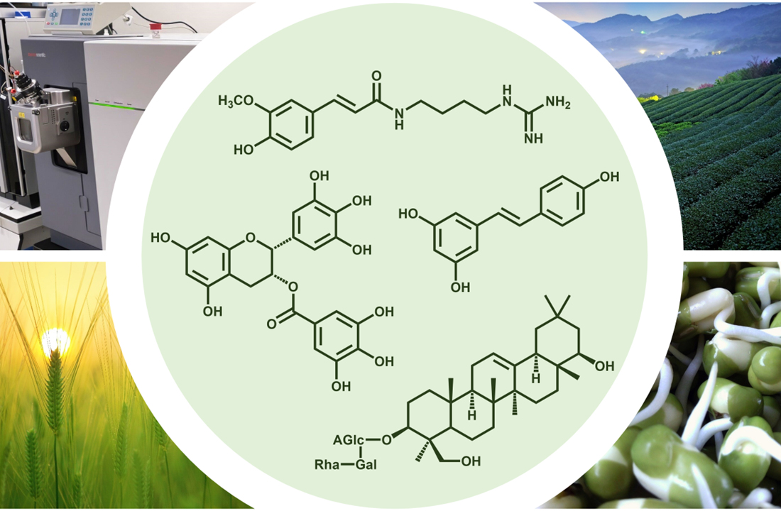Why Phytochemical Profiling Matters For Health